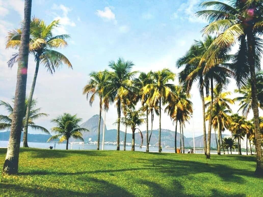 Suh Flamengo 01 Praia Studio Dreams Río de Janeiro Exterior foto